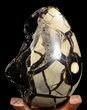 Septarian Dragon Egg Geode - Black Crystals #37289-2